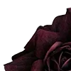 Стикер 23 Red Flowers