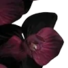 Стикер 22 Red Flowers