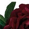 Обложка набора Red Flowers