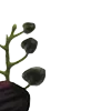 Стикер 6 Red Flowers