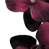 Стикер 13 Red Flowers
