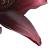 Стикер 60 Red Flowers