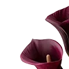 Стикер 3 Red Flowers