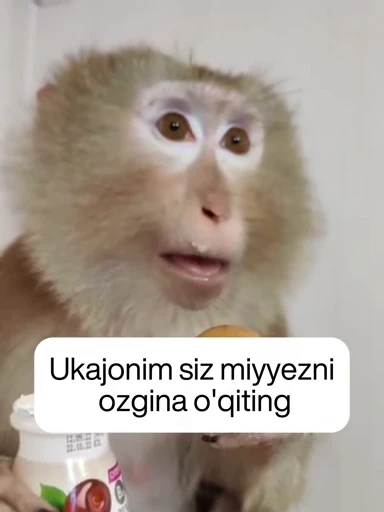 🧠 Стикер «Pale Butterfly» для Telegram