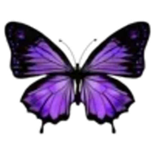 🦋 Эмодзи «setare» для Telegram