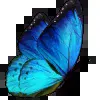 🦋 Эмодзи «setare» для Telegram