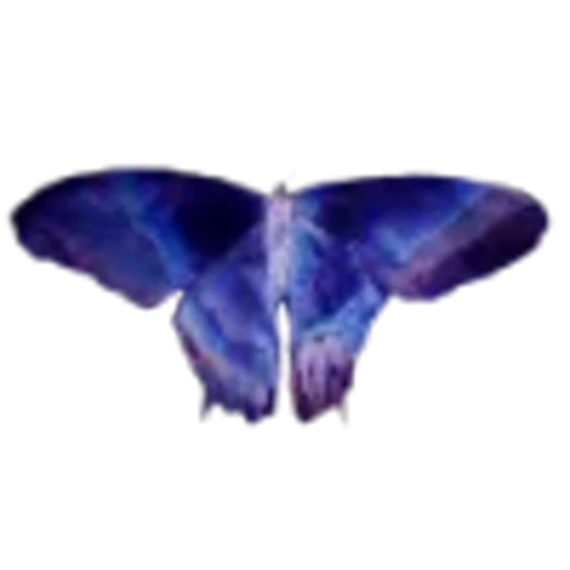 🦋 Эмодзи «setare» для Telegram