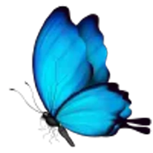🦋 Эмодзи «setare» для Telegram
