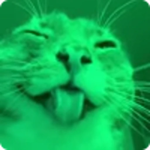 🍏 Эмодзи «Ригби Кот» для Telegram