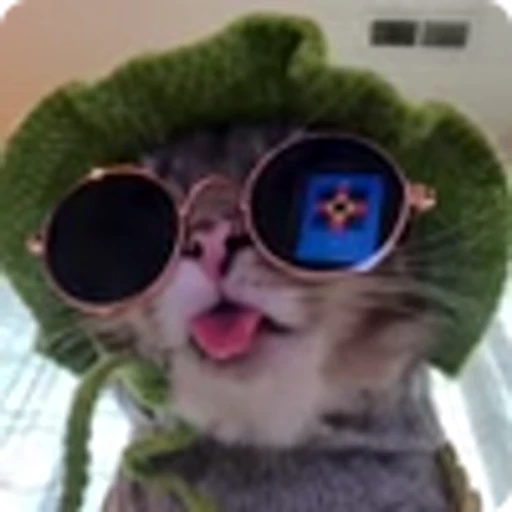 😎 Эмодзи «Ригби Кот» для Telegram