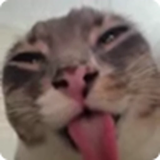 👅 Эмодзи «Ригби Кот» для Telegram