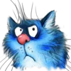 Стикер 47 Rinas Blue Cats