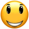 Стикер 4 Roblox Faces
