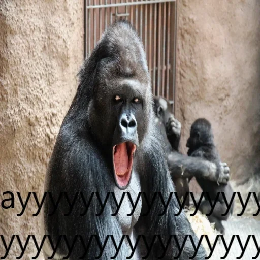 🦍 Стикер «M1zex Stickers Rofls» для Telegram