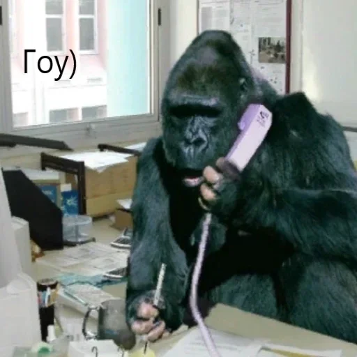 🦍 Стикер «M1zex Stickers Rofls» для Telegram