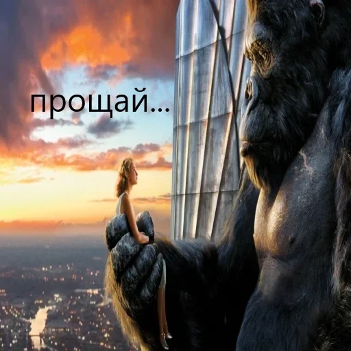 🦍 Стикер «M1zex Stickers Rofls» для Telegram