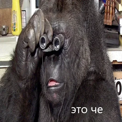 🦍 Стикер «M1zex Stickers Rofls» для Telegram
