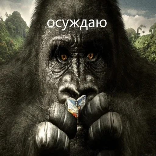 🦍 Стикер «M1zex Stickers Rofls» для Telegram