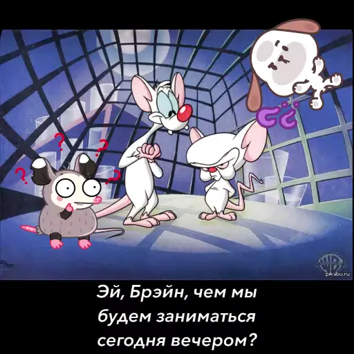 Стикер 23 Room 51