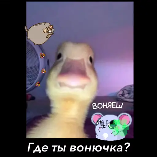 Стикер 12 Room 51