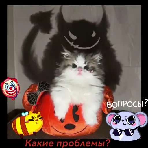 Стикер 11 Room 51