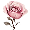 🌷 Эмодзи «Розовый сад - серые буквы и розовые цифры» для Telegram