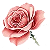 🌹 Эмодзи «Розовый сад - серые буквы и розовые цифры» для Telegram