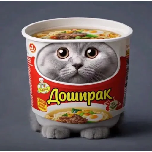 🐱 Стикер «Круглые коты» для Telegram
