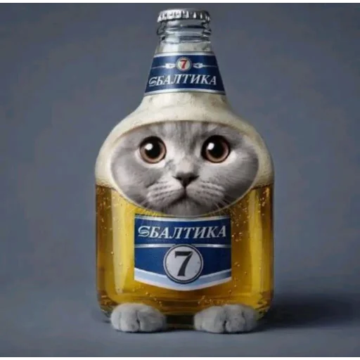 🐱 Стикер «Круглые коты» для Telegram