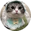 Стикер 3 Кругляши Комару Кот