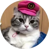 Стикер 8 Кругляши Комару Кот
