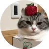 Стикер 11 Кругляши Комару Кот