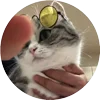 Стикер 14 Кругляши Комару Кот