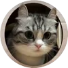 Стикер 10 Кругляши Комару Кот