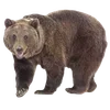 Стикер 20 Russian Core