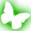 Стикер 54 Minimalism #font #color #green
