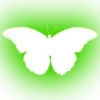 Стикер 55 Minimalism #font #color #green
