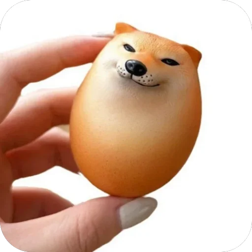 🫥 Стикер «SHIBAKOOO» для Telegram