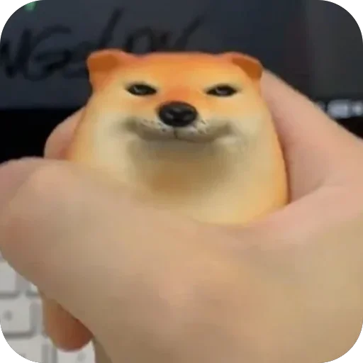 🫥 Стикер «SHIBAKOOO» для Telegram