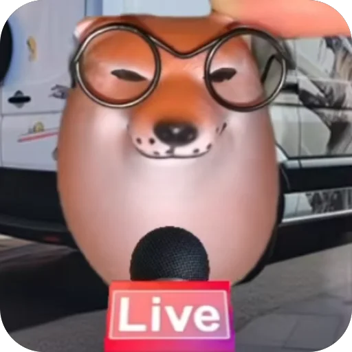 🫥 Стикер «SHIBAKOOO» для Telegram