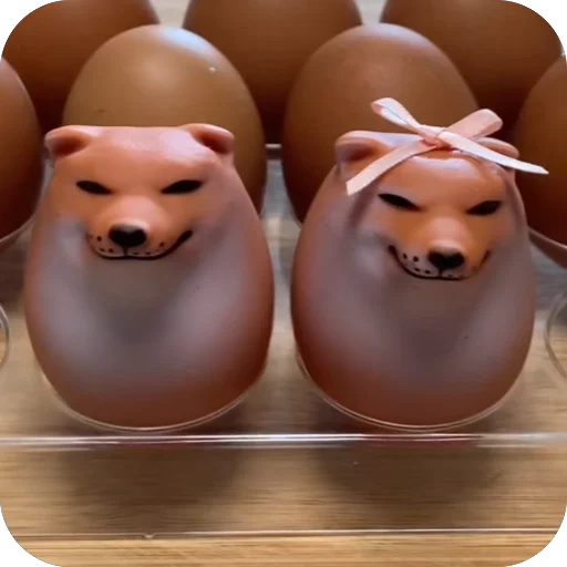 🫥 Стикер «SHIBAKOOO» для Telegram