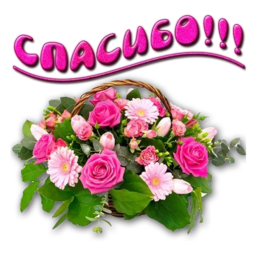 😘 Стикер «SONRISA» для Telegram
