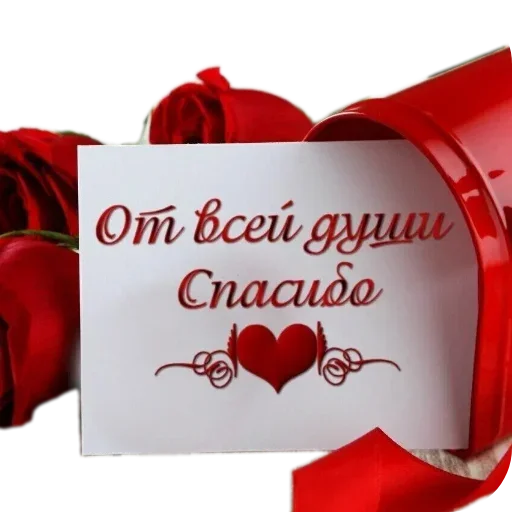 🌸 Стикер «SONRISA» для Telegram