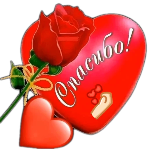 🌸 Стикер «SONRISA» для Telegram