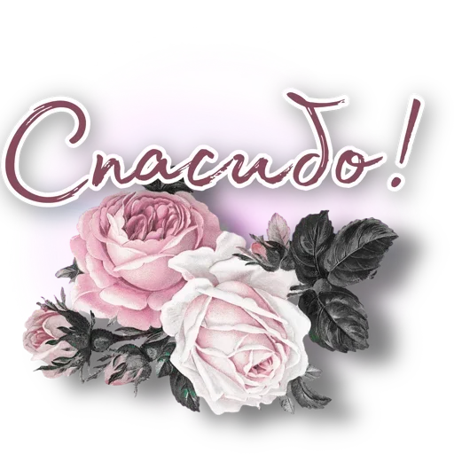 🙏 Стикер «SONRISA» для Telegram
