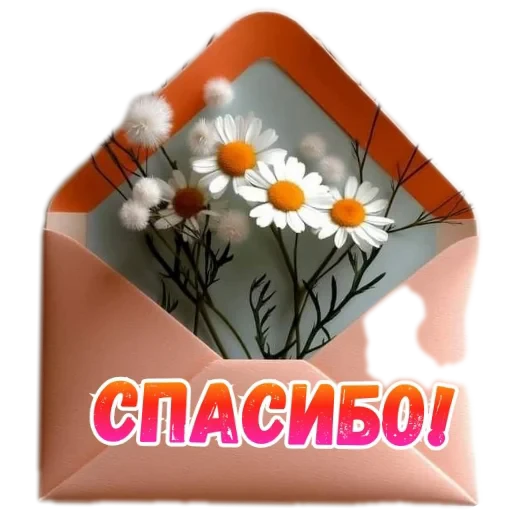 🌸 Стикер «SONRISA» для Telegram