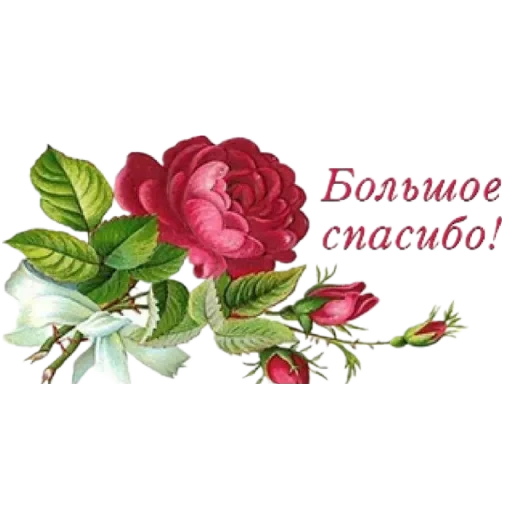 😍 Стикер «SONRISA» для Telegram