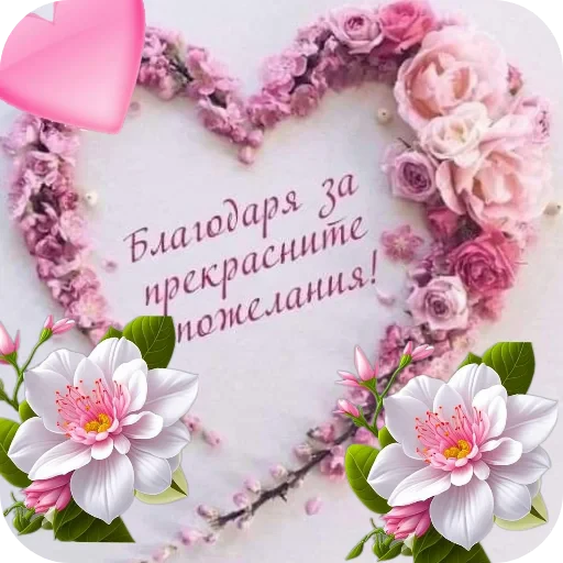 🌸 Стикер «SONRISA» для Telegram