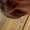 Стикер 48 Instasamka