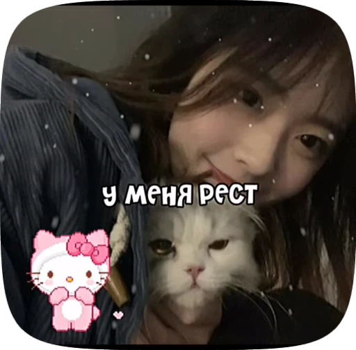 🪼 Стикер «Пожелания» для Telegram